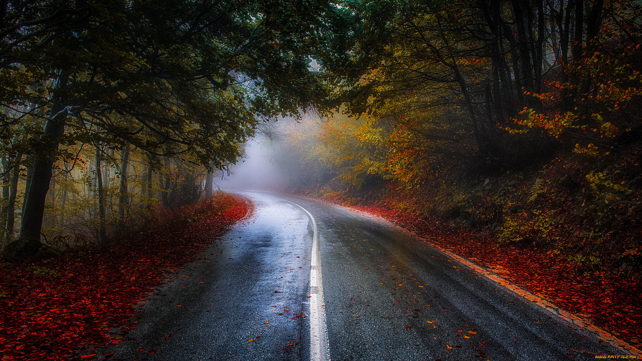 природа, дороги, path, осень, road, colorful, fall, листья, walk, autumn, t...